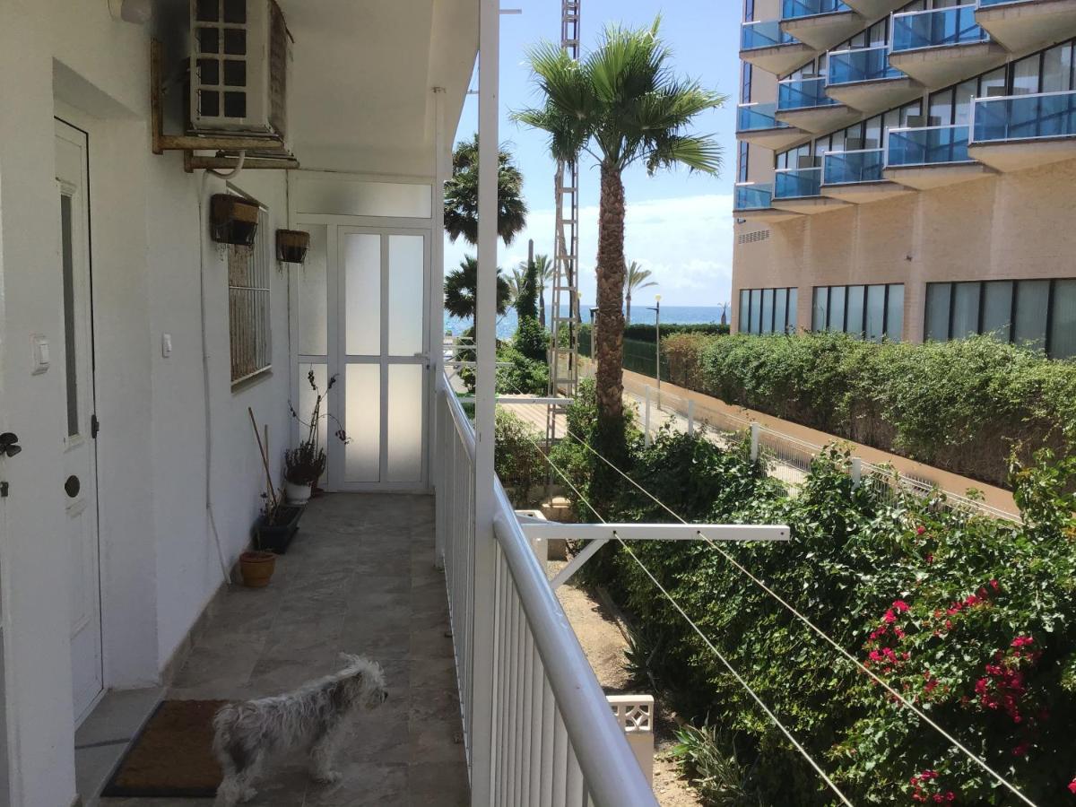 Apartmán Carpe Diem El Albir Exteriér fotografie